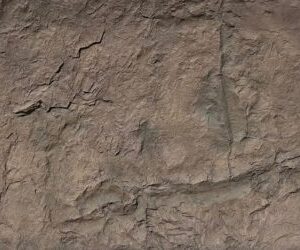 Canyon Taş Panel - Marron