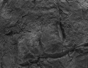 Canyon Taş Panel - Negra